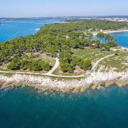 Alice Close To Centre - Happy Пула